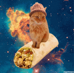 12171.gif