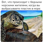 1000011467.png