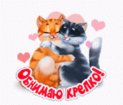 11160.gif