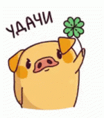 11423.gif