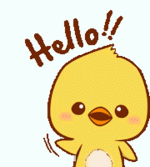 11081.gif