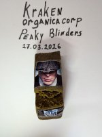 IMG_2732.jpeg