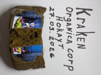 IMG_2739.jpeg