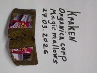 IMG_2737.jpeg