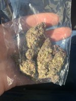 IMG_3732.jpeg