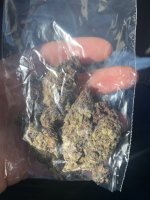 IMG_3734.jpeg
