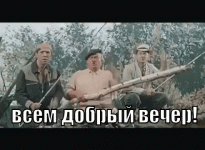 11381.gif