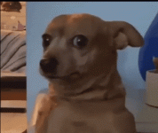 gKHGnB1ml0moQdjhEJ.gif
