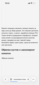 IMG_1317.png