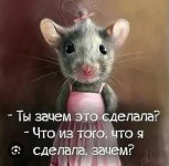 IMG_20260409_175157_878.jpg