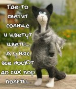 IMG_20260412_112826_773.jpg