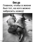 IMG_20260413_161813_550.jpg