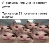 IMG_20260414_070622_668.jpg