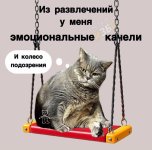 IMG_20260419_193327_871.jpg