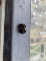 IMG_3794.jpeg