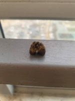 IMG_3811.jpeg