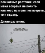 IMG_20260430_161510_431.jpg