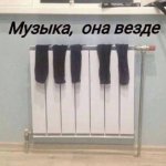 1000035379.jpg