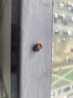 IMG_3822.jpeg