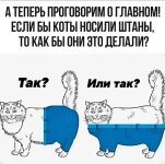 IMG_20260510_184150_702.jpg