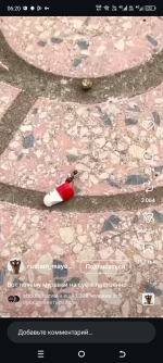 Screenshot_20260517-062056.png