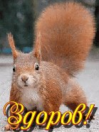 1000005234.gif