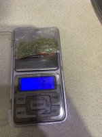 IMG_1123.jpeg