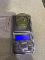 IMG_1124.jpeg