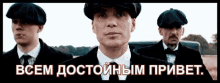 шелби-привет (1).gif