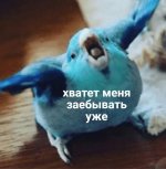 028a889ba74b49bfe668a247b08394d8.jpg