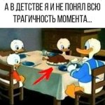1000035663.jpg