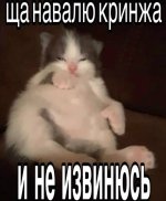IMG_20260503_042154_820.jpg