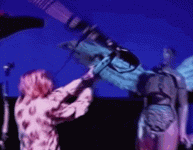 10245.gif