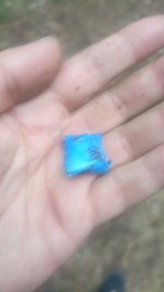8867.jpg
