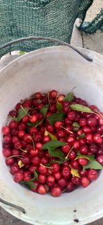 20260607_190521.jpg