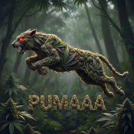 PUMAAA