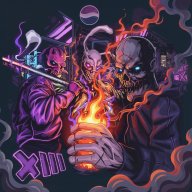 DMTXIII
