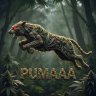 PUMAAA