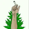 Weed