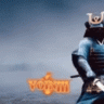 voin111