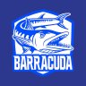 Barracuda